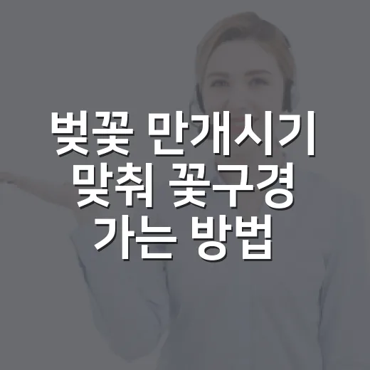 벚꽃 만개시기 맞춰 꽃구경 가는 방법 - 요약