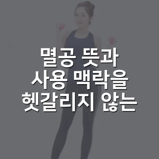 멸공 뜻과 사용 맥락을 헷갈리지 않는 방법 - 요약