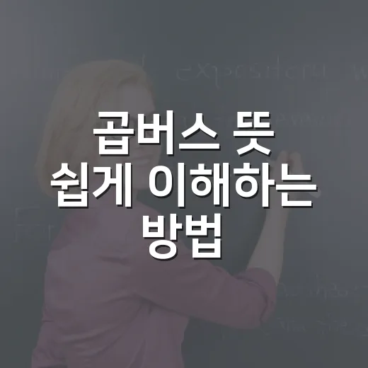 곱버스 뜻 쉽게 이해하는 방법, 투자 전에 꼭 봐야 할 포인트 - 요약