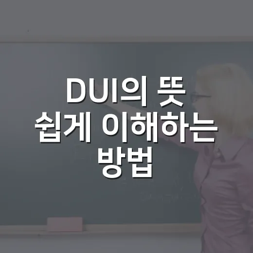 DUI의 뜻 쉽게 이해하는 방법, DWI와 차이까지 - 요약
