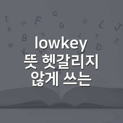 lowkey 뜻 헷갈리지 않게 쓰는 방법 - 요약