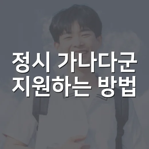정시 가나다군 지원하는 방법, 초보자는 이렇게 잡으면 편합니다 - 요약