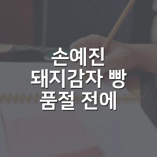 손예진 돼지감자 빵 품절 전에 가격 확인하는 방법 - 요약