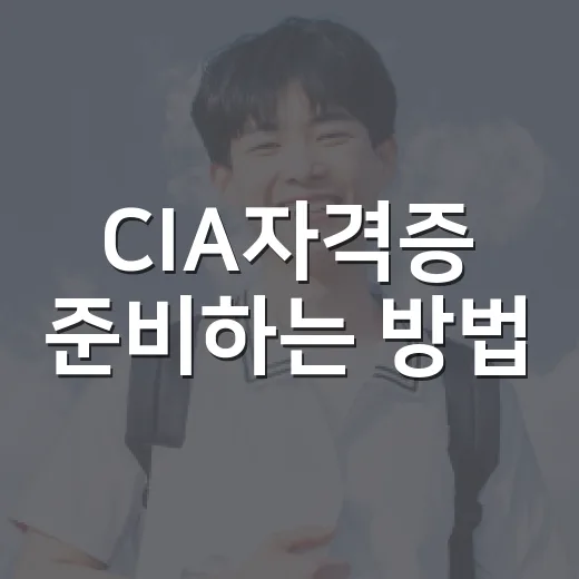 CIA자격증 준비하는 방법, 처음 시작할 때 이렇게 잡으면 덜 헤맵니다 - 요약