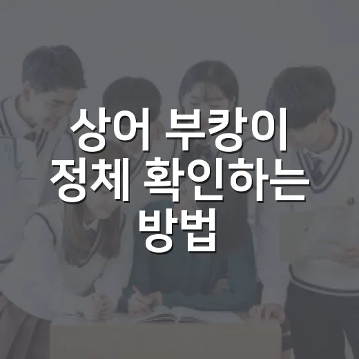 상어 부캉이 정체 확인하는 방법, 부산 북항에서 왜 화제가 됐을까 - 요약