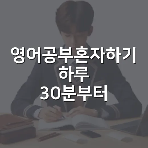 영어공부혼자하기 하루 30분부터 시작하는 방법 - 요약