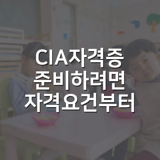 CIA자격증 준비하려면 자격요건부터 확인하는 방법 - 요약