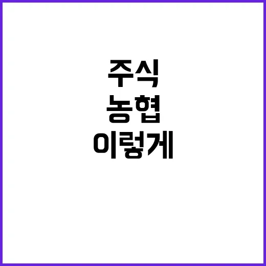 농협주식 사려면 이렇게 구분하면 쉽습니다 - 요약