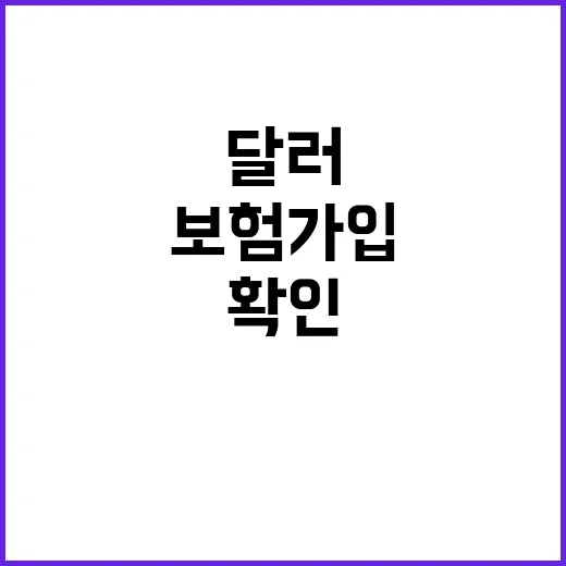 달러보험 가입하려면 이렇게 확인하세요 - 요약