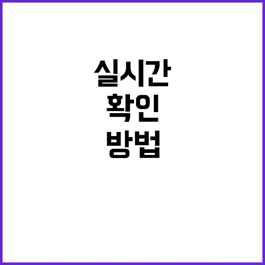 초보자를 위한 실시간주식 확인하는 방법, 어디서 보고 어떻게 판단할까 - 요약