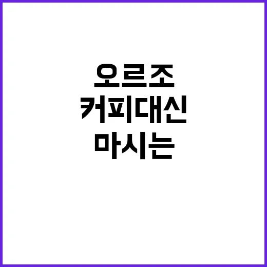 오르조 맛있게 마시는 방법, 커피 대신 즐기려면 이렇게 - 요약