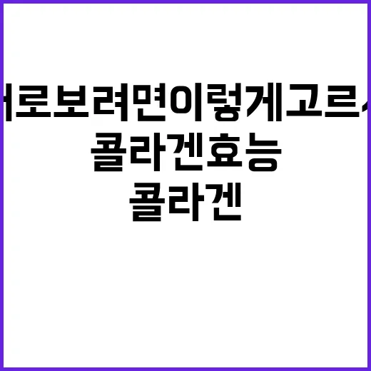 콜라겐효능 제대로 보려면 이렇게 고르세요 - 요약
