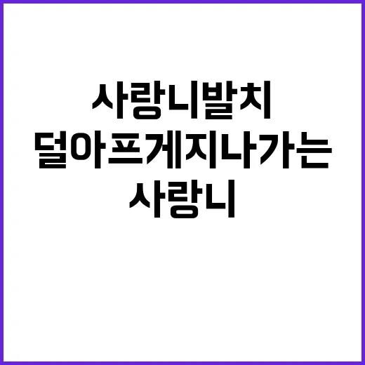 사랑니발치 전후 덜 아프게 지나가는 방법 - 요약