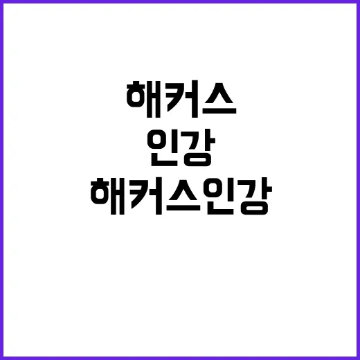 해커스인강 제대로 고르는 방법, 처음 시작할 때 이렇게 보면 편해요 - 요약