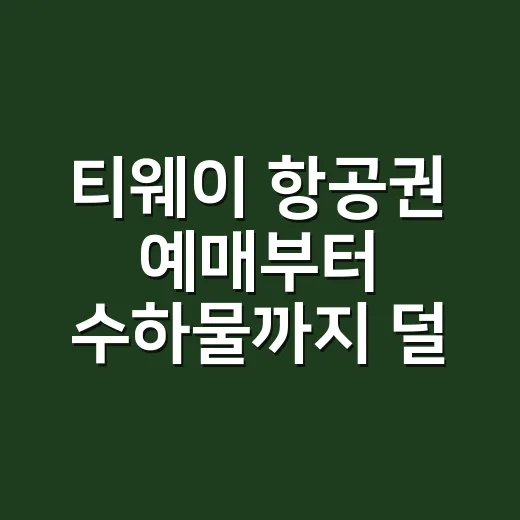 티웨이 항공권 예매부터 수하물까지 덜 헤매는 방법 - 요약