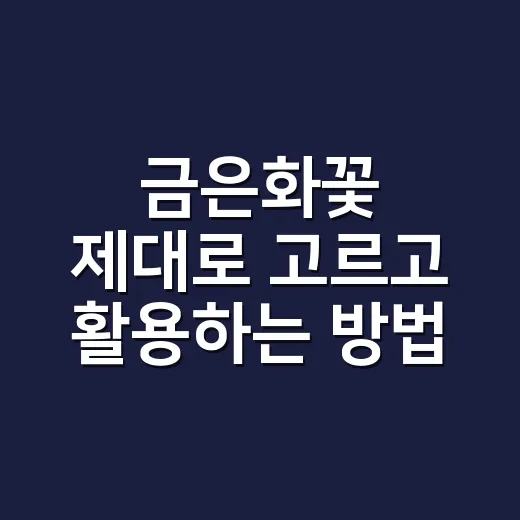 금은화꽃 제대로 고르고 활용하는 방법 - 요약