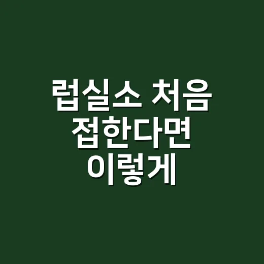 럽실소 처음 접한다면 이렇게 즐겨보는 방법 - 요약