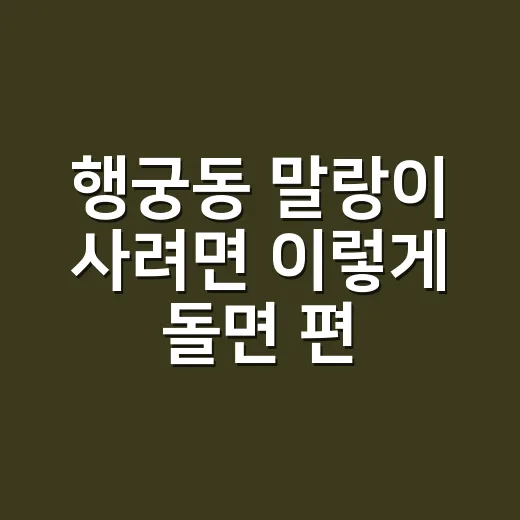 행궁동 말랑이 사려면 이렇게 돌면 편해요 - 요약