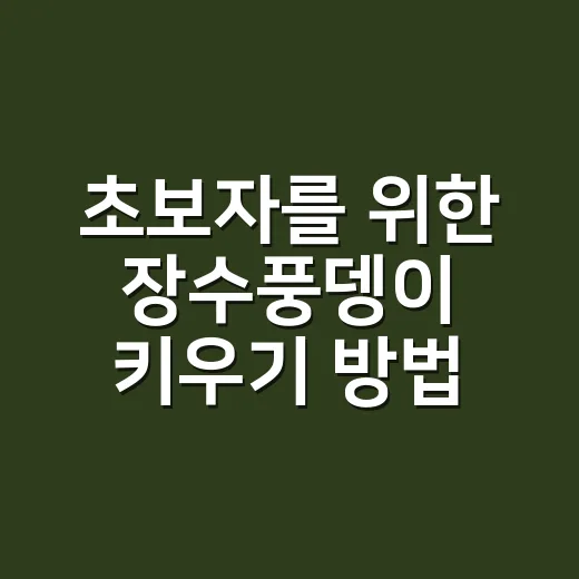 초보자를 위한 장수풍뎅이 키우기 방법, 사육통부터 먹이까지 이렇게 준비하세요 - 요약