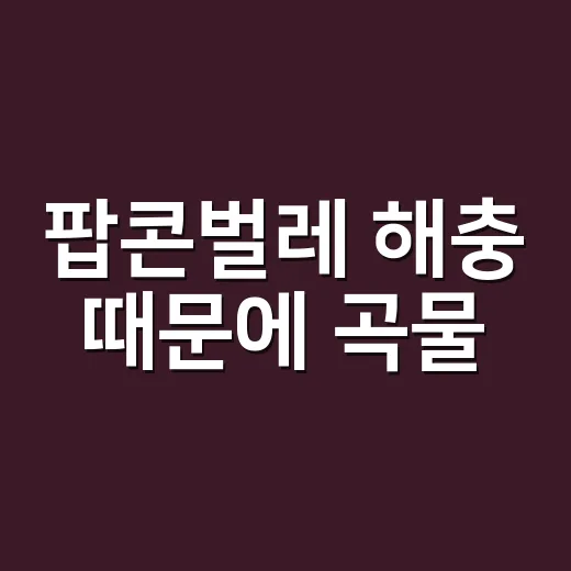 팝콘벌레 해충 때문에 곡물·간식 망치지 않는 보관 방법 - 요약
