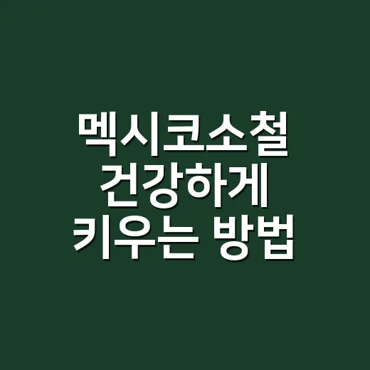 멕시코소철 건강하게 키우는 방법, 물주기부터 분갈이까지 - 요약