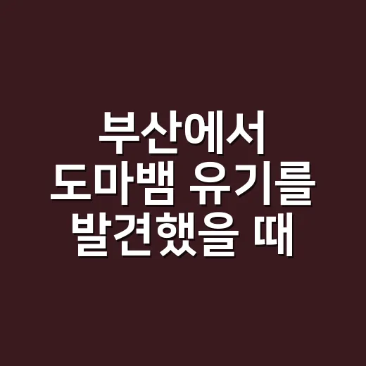 부산에서 도마뱀 유기를 발견했을 때 대처하는 방법 - 요약
