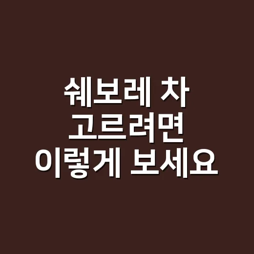 쉐보레 차 고르려면 이렇게 보세요: 초보자를 위한 현실 기준 - 요약