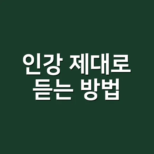 인강 제대로 듣는 방법, 초보자가 놓치기 쉬운 공부 루틴 만들기 - 요약