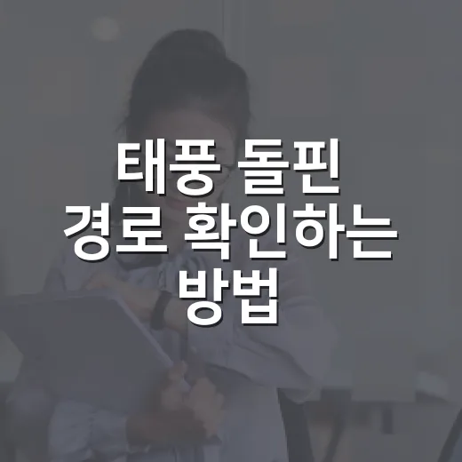 태풍 돌핀 경로 확인하는 방법, 여행 전 이렇게 보면 편합니다 - 요약