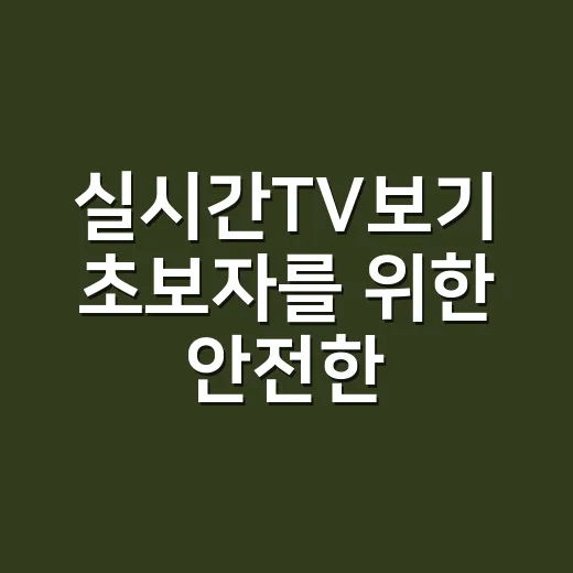 실시간TV보기 초보자를 위한 안전한 시청 방법 - 요약