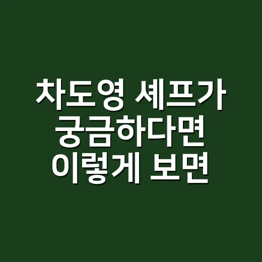 차도영 셰프가 궁금하다면 이렇게 보면 쉬워요 - 요약