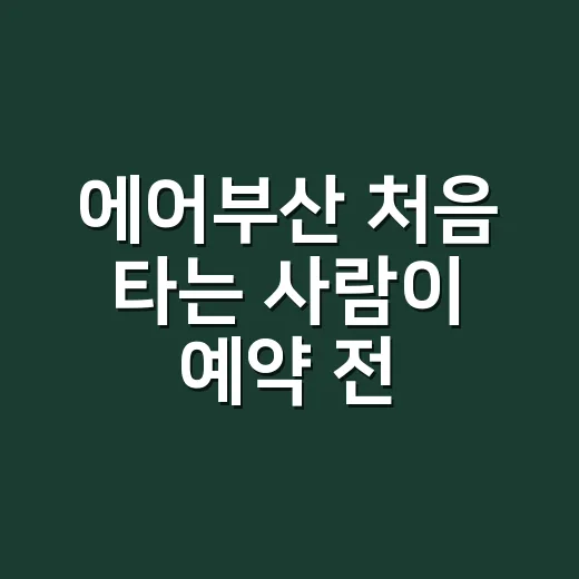 에어부산 처음 타는 사람이 예약 전 확인하는 방법 - 요약