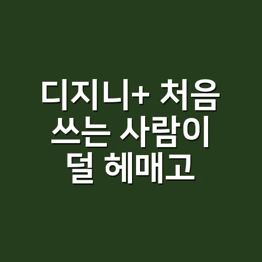 디지니+ 처음 쓰는 사람이 덜 헤매고 고르는 방법