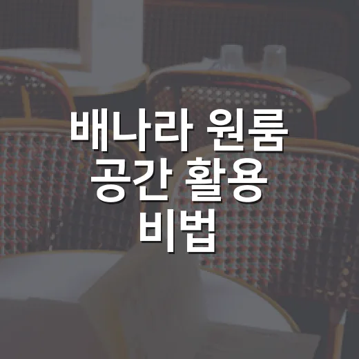 배나라 원룸 공간 활용 비법, 좁아도 넓게 쓰는 방법 - 요약