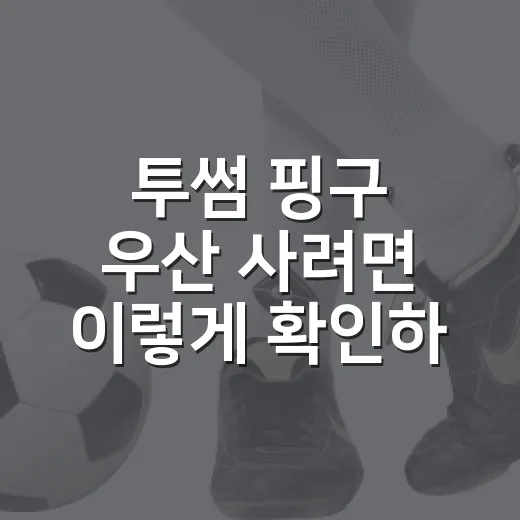 투썸 핑구 우산 사려면 이렇게 확인하세요 - 요약