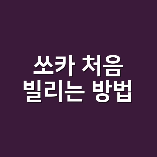 쏘카 처음 빌리는 방법, 요금 덜 헷갈리려면 이렇게 - 요약