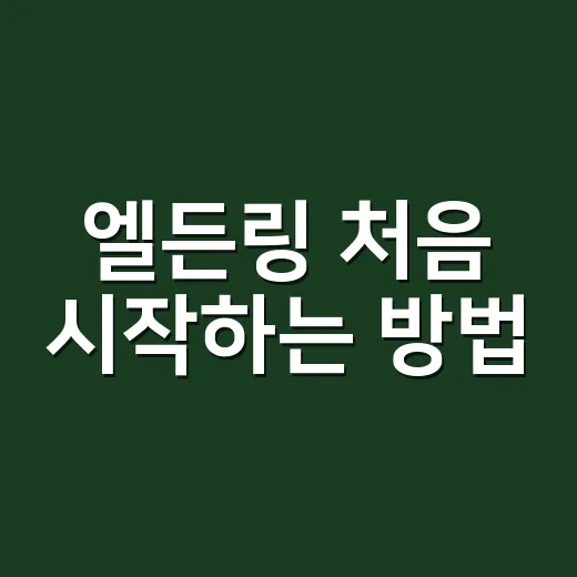 엘든링 처음 시작하는 방법, 초보자가 덜 헤매는 진행 순서 - 요약
