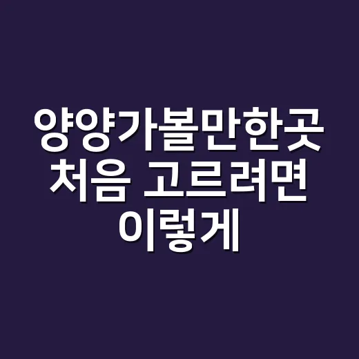양양가볼만한곳 처음 고르려면 이렇게 동선 잡기 - 요약
