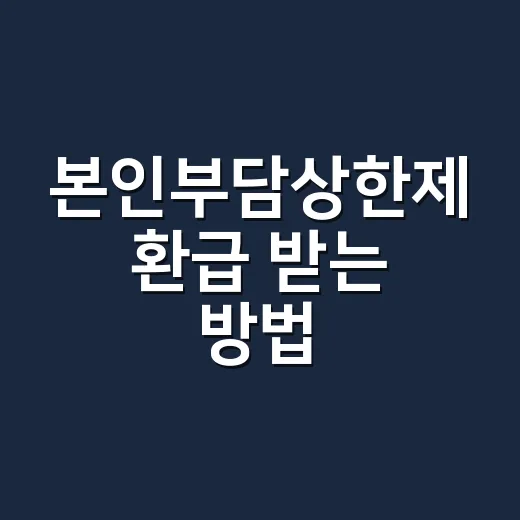 본인부담상한제 환급 받는 방법, 2026년에 헷갈리지 않으려면 이렇게 - 요약