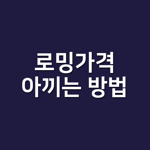 로밍가격 아끼는 방법, 여행 일정별로 고르는 기준 - 요약
