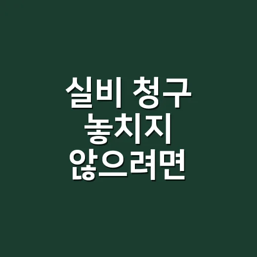 실비 청구 놓치지 않으려면 이렇게 챙기는 방법 - 요약
