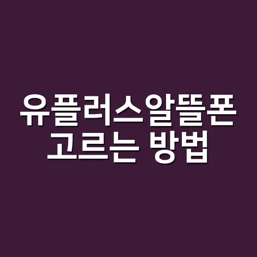 유플러스알뜰폰 고르는 방법, 요금제부터 셀프개통까지 이렇게 보면 편해요 - 요약