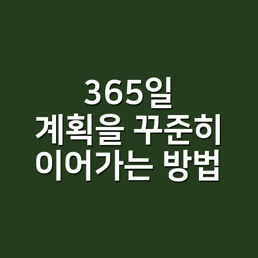 365일 계획을 꾸준히 이어가는 방법, 초보자는 이렇게 시작하면 편해요 - 요약