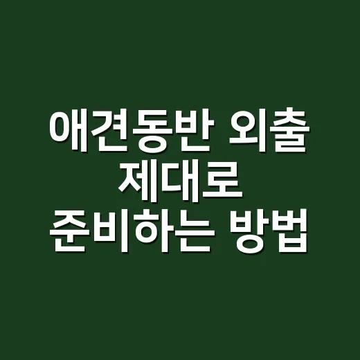 애견동반 외출 제대로 준비하는 방법: 카페부터 숙소까지 체크할 것들 - 요약