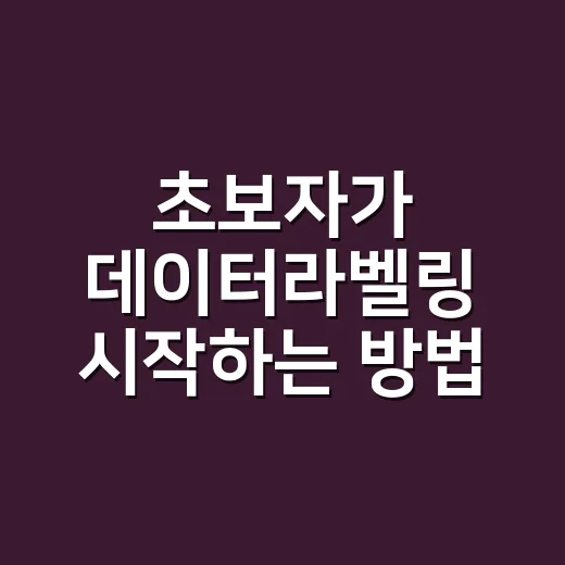 초보자가 데이터라벨링 시작하는 방법, 집에서 부업처럼 해도 괜찮을까 - 요약