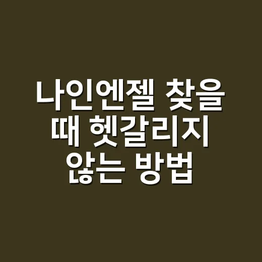 나인엔젤 찾을 때 헷갈리지 않는 방법, 초보자를 위한 확인 순서 - 요약
