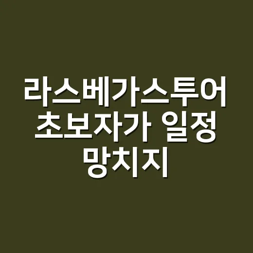 라스베가스투어 초보자가 일정 망치지 않고 고르는 방법 - 요약