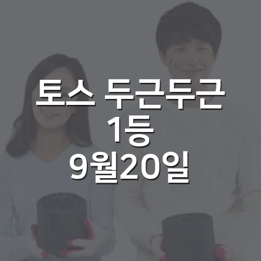 토스 두근두근 1등 9월20일 확인하는 방법, 헷갈리면 이렇게 보세요 - 요약