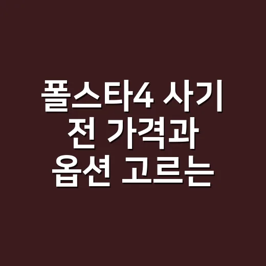 폴스타4 사기 전 가격과 옵션 고르는 방법 - 요약