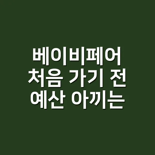 베이비페어 처음 가기 전 예산 아끼는 방법 - 요약